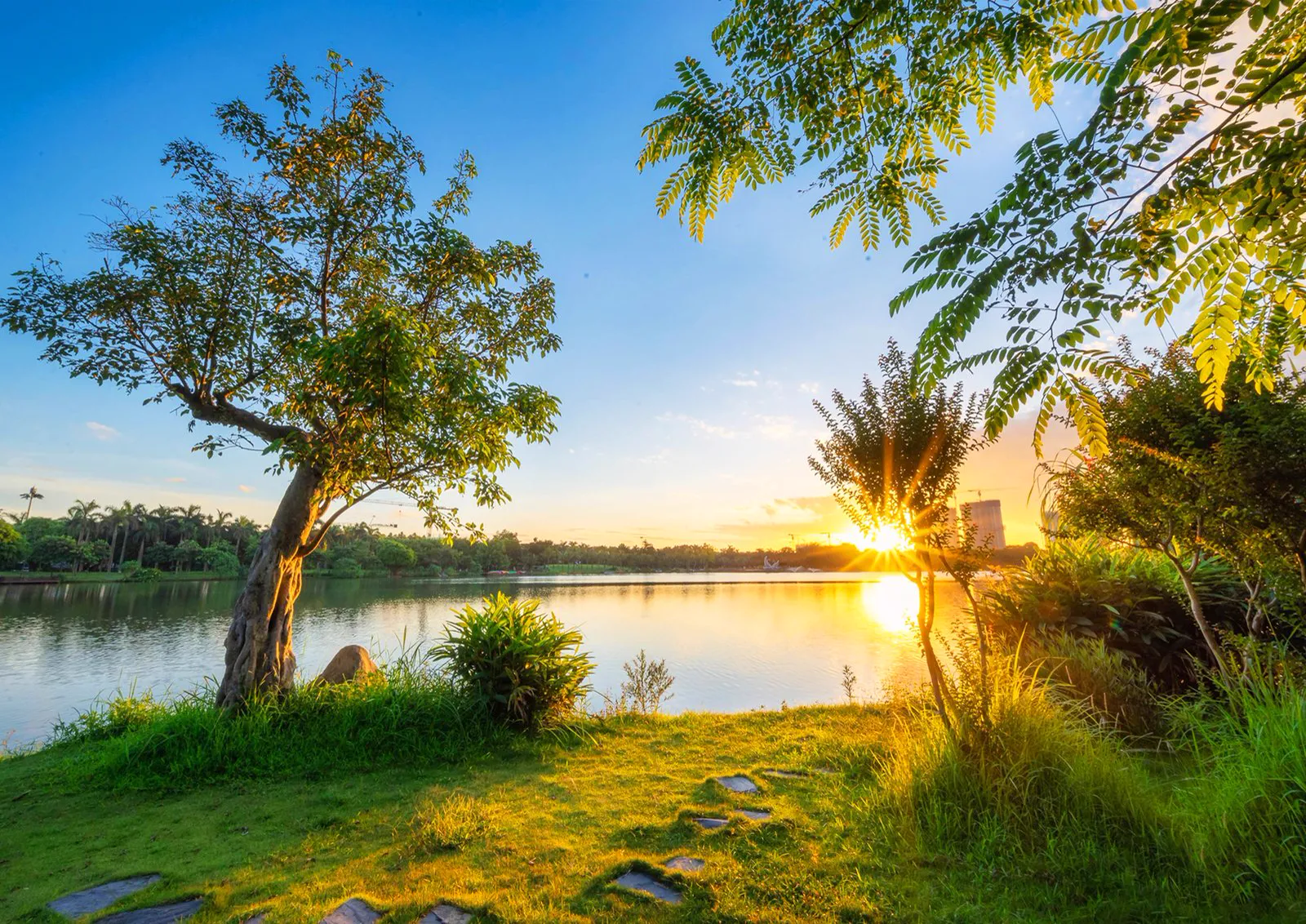 Hồ nước và hàng cây trong Ecopark lúc hoàng hôn