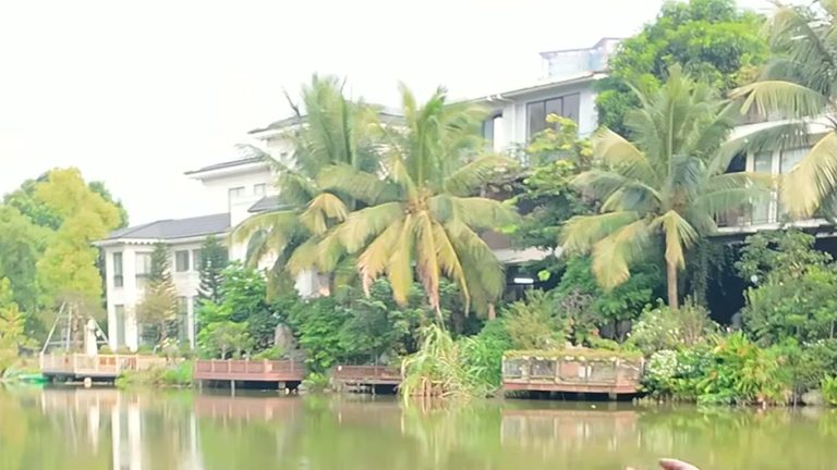 Dãy biệt thự đảo Ecopark bên kia mặt nước, mỗi căn có cầu gỗ riêng nhô ra mép nước dưới hàng dừa