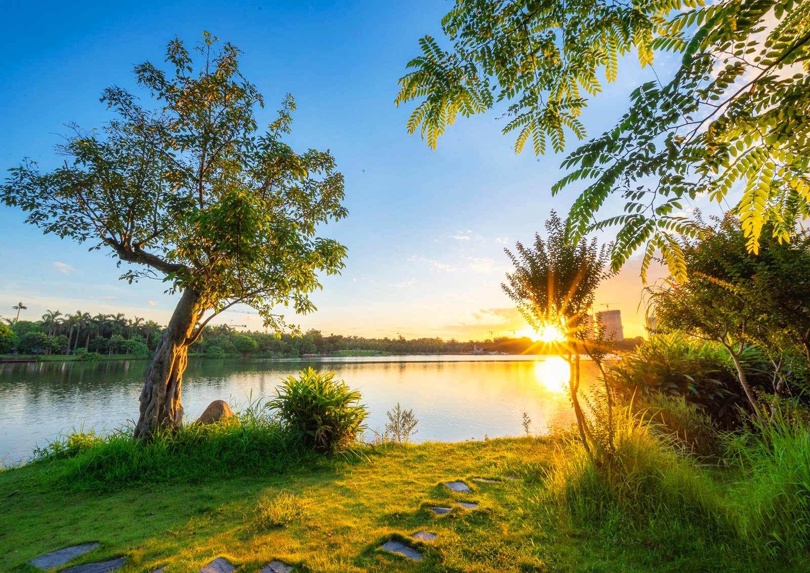 Hồ nước và cây xanh trong khu đô thị Ecopark Văn Giang lúc hoàng hôn