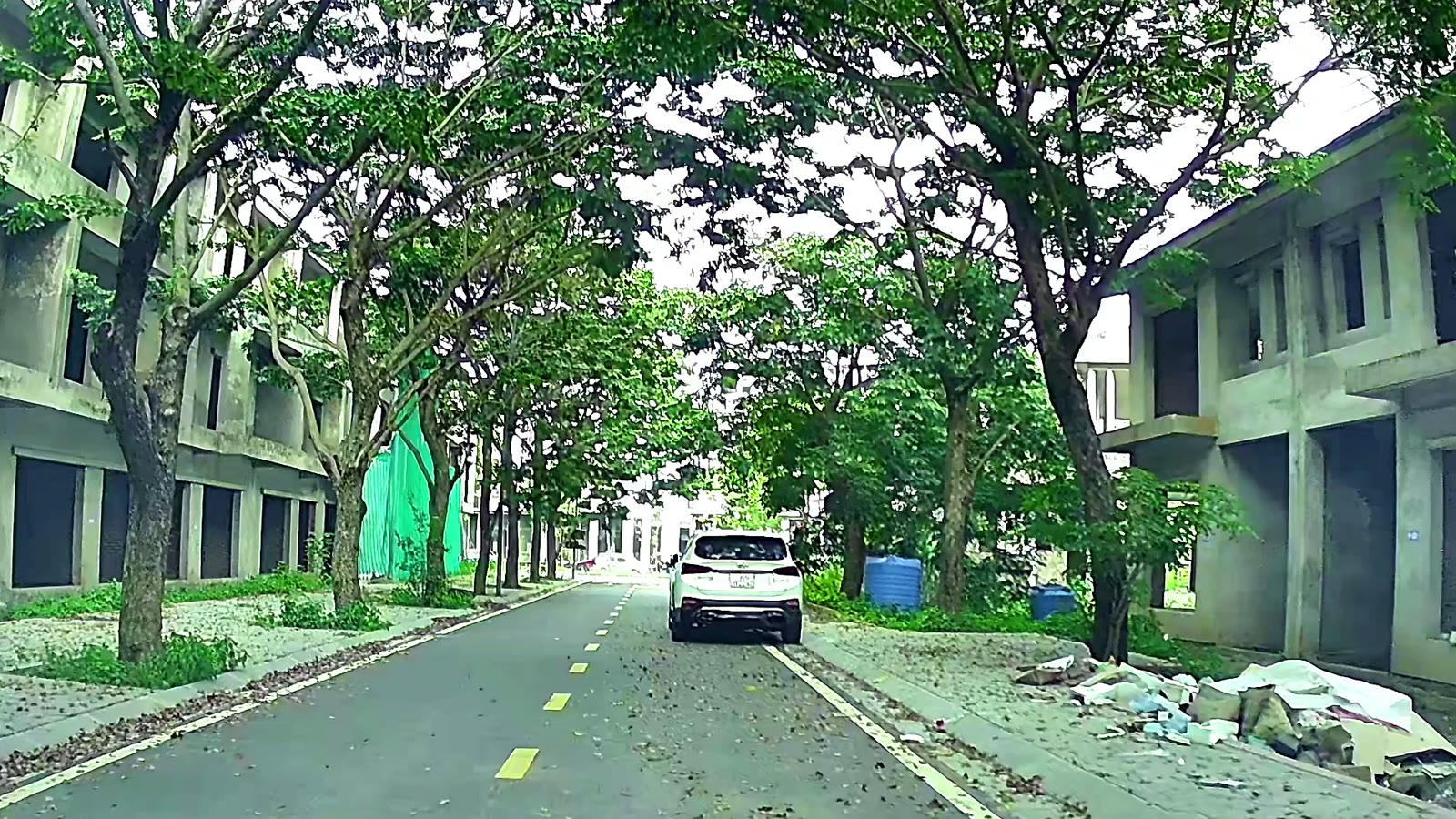 Đường nội khu Vạn Tuế với hàng cây hai bên phủ kín lòng đường, nhà thấp tầng dọc tuyến
